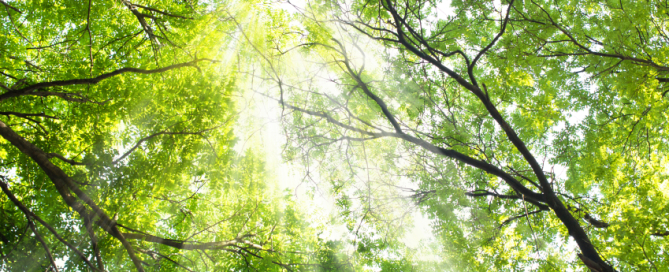 אחרי צוק איתן המתח