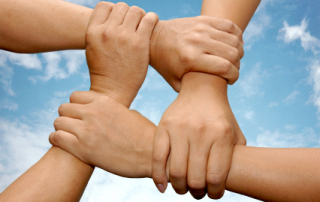 חיים בין חיים