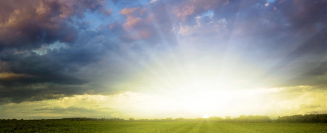 שחרור טראומה